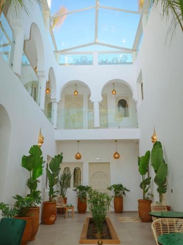Riad Dar Blanche & Spa 2