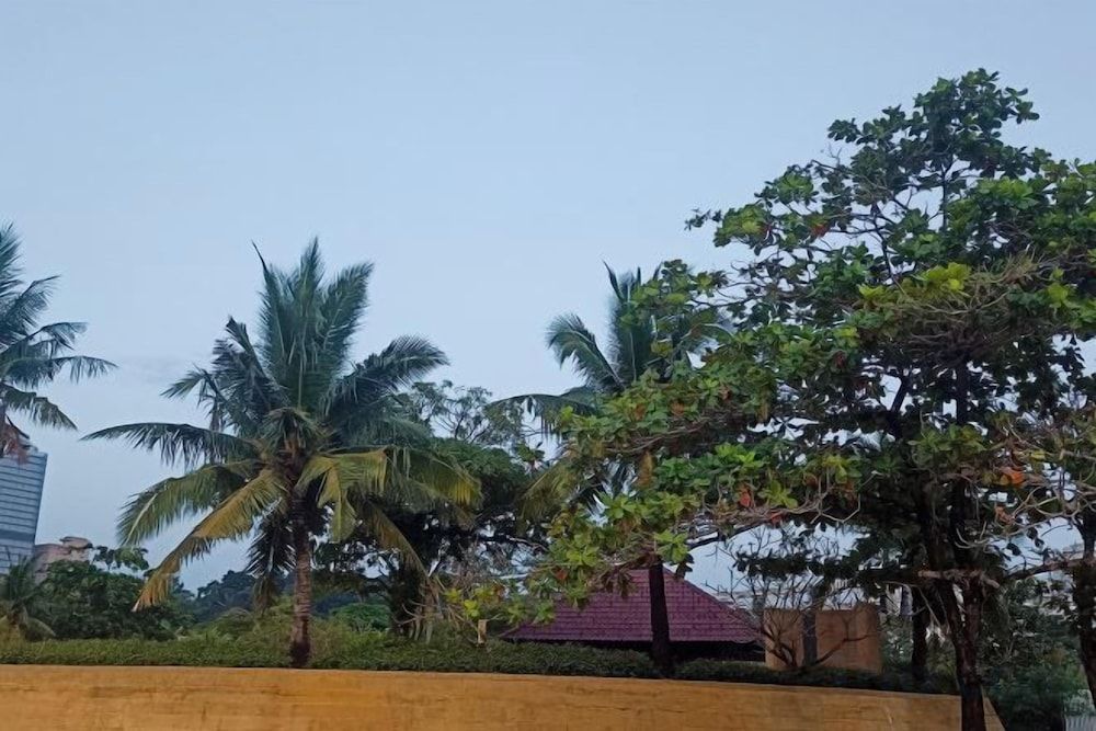Hawaii Lounge 2