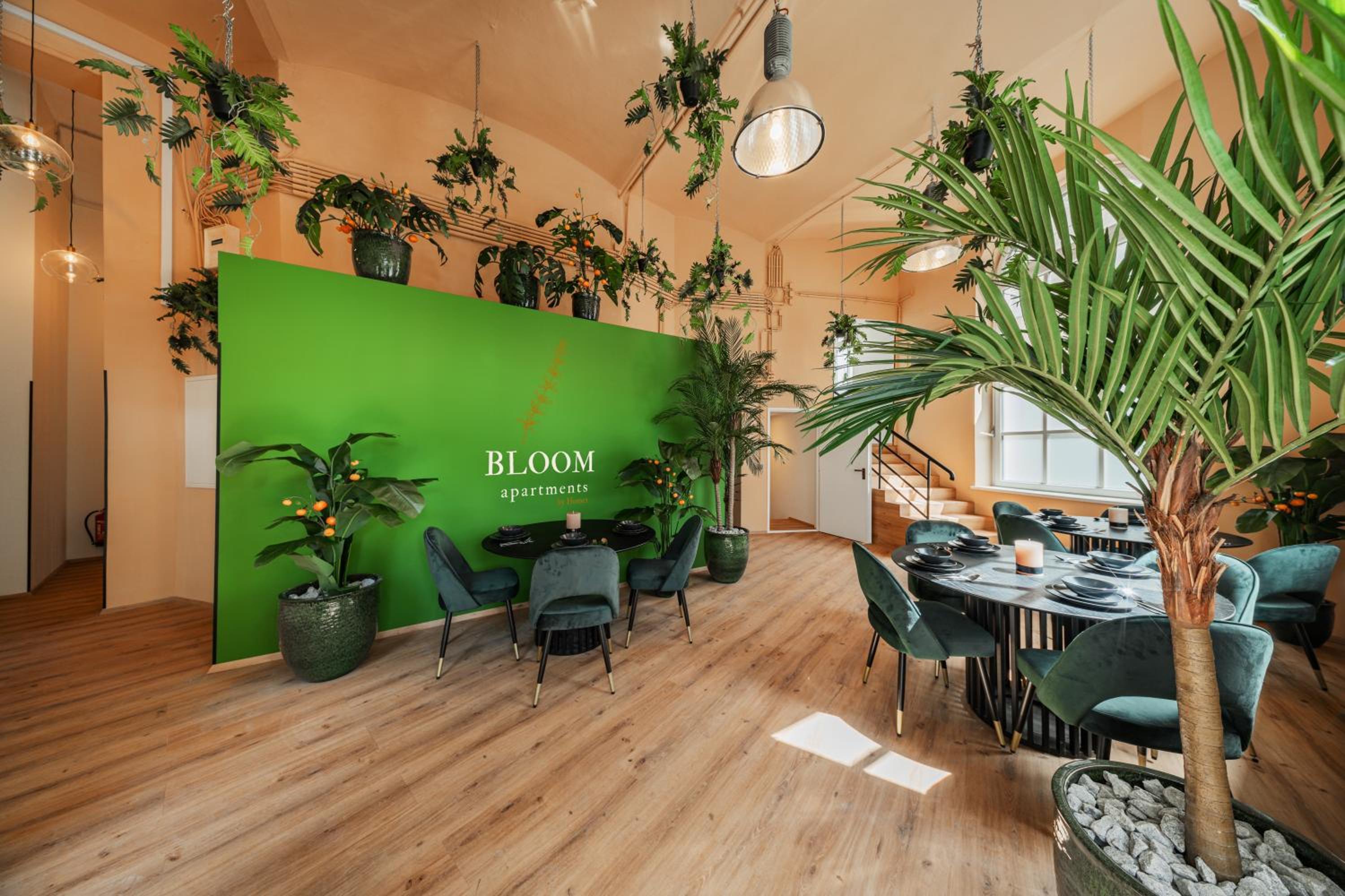 Bloom by Home1 1