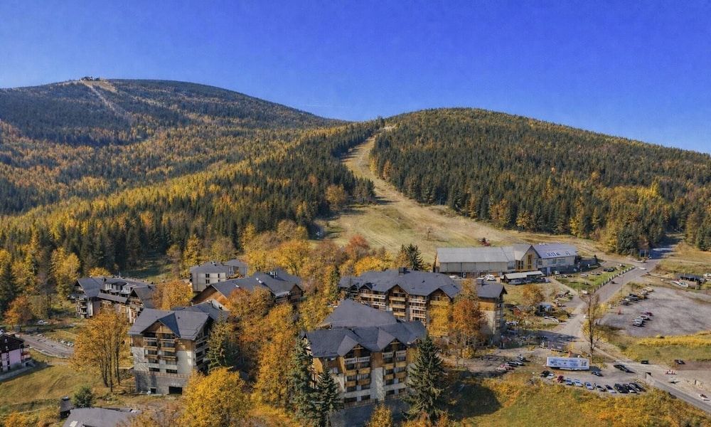 Forest Park Resort & SPA 1