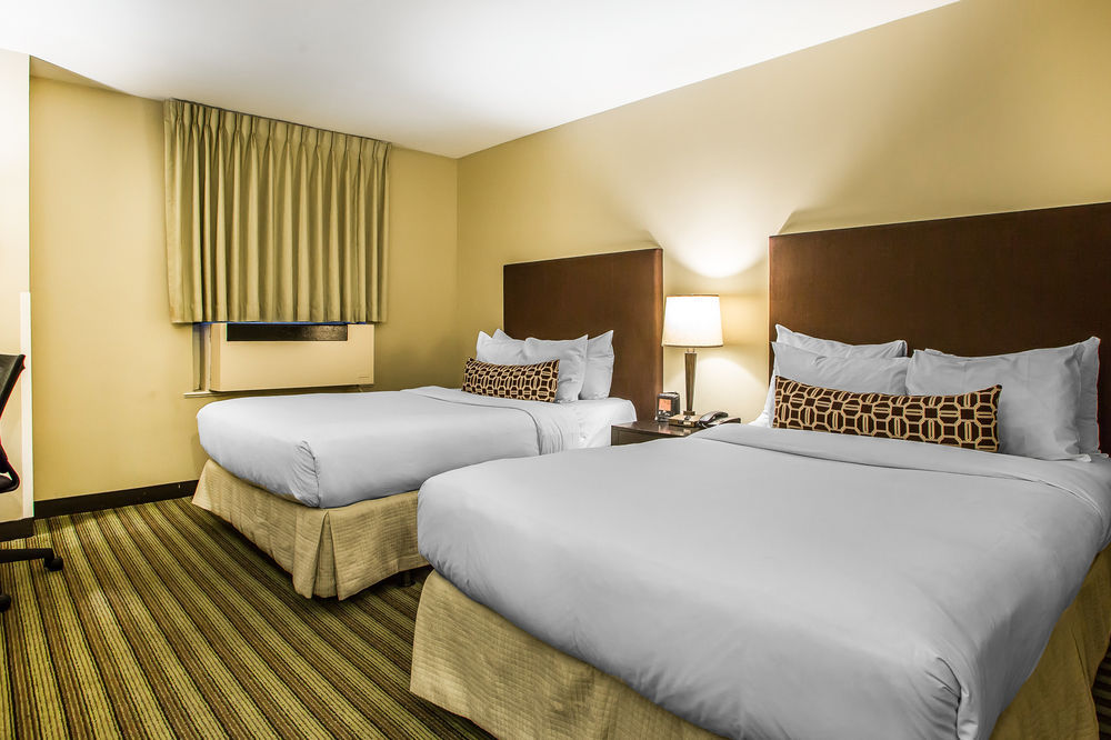 Inn of Chicago 1