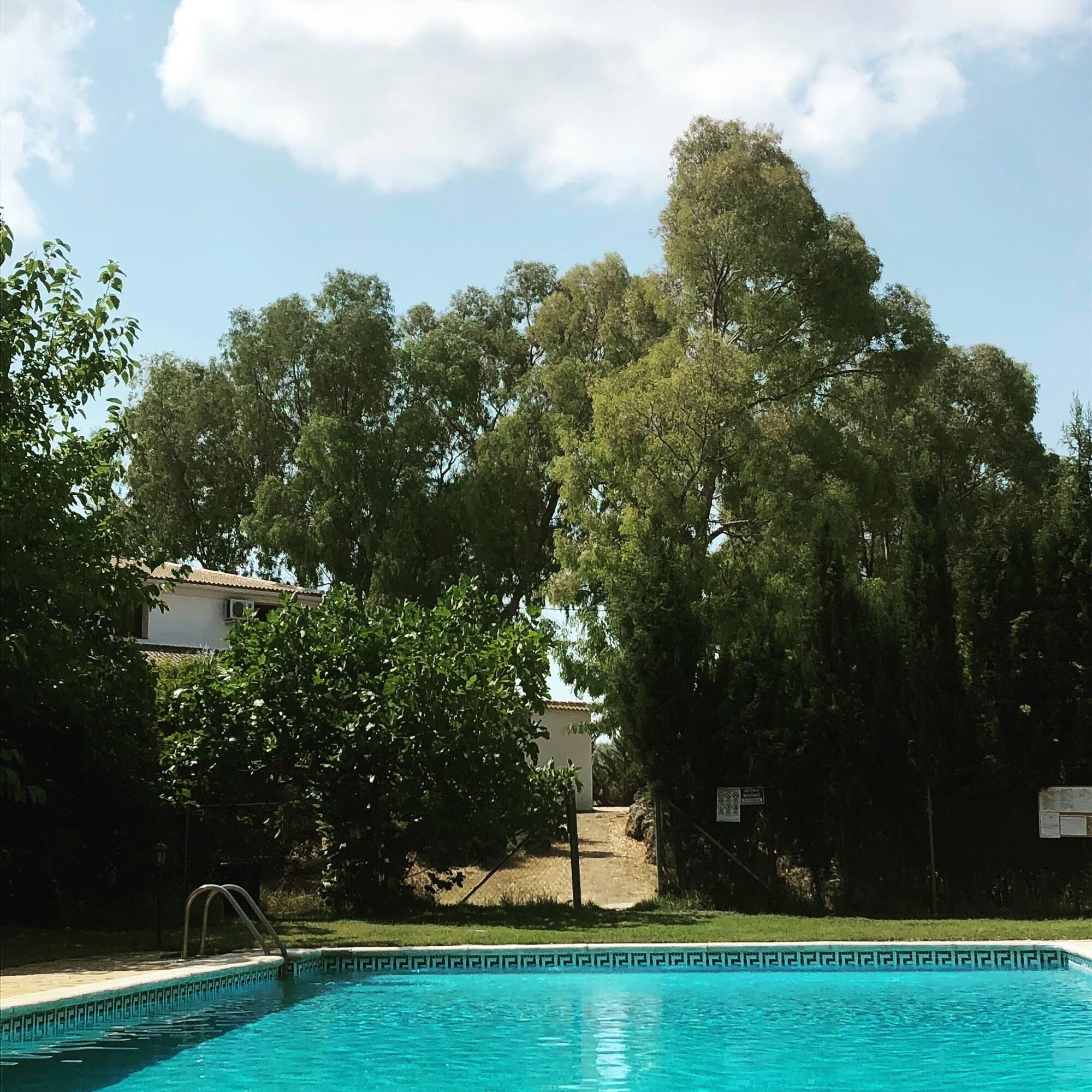 Rural La Paloma 2