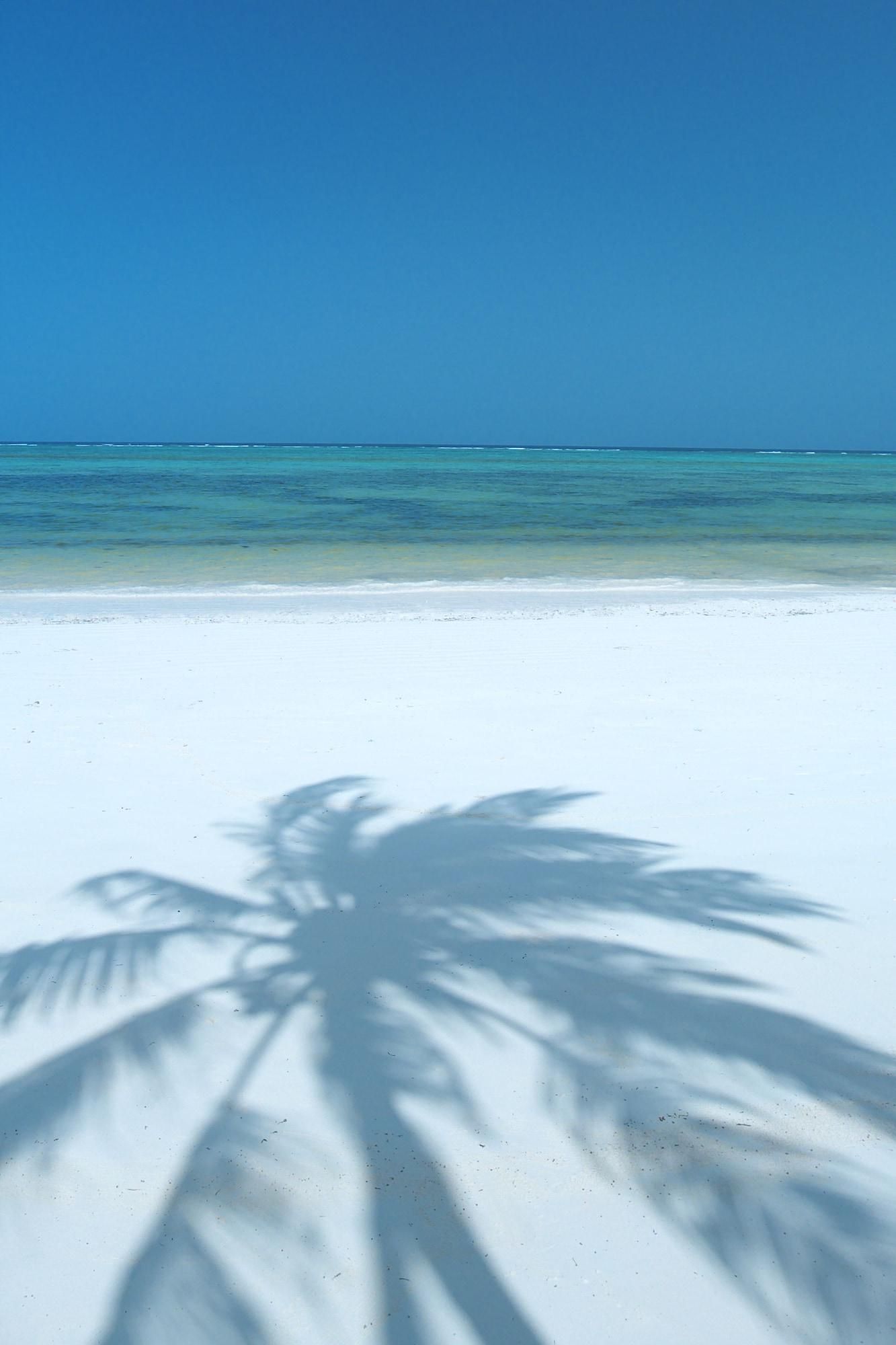 The Palms Zanzibar 2