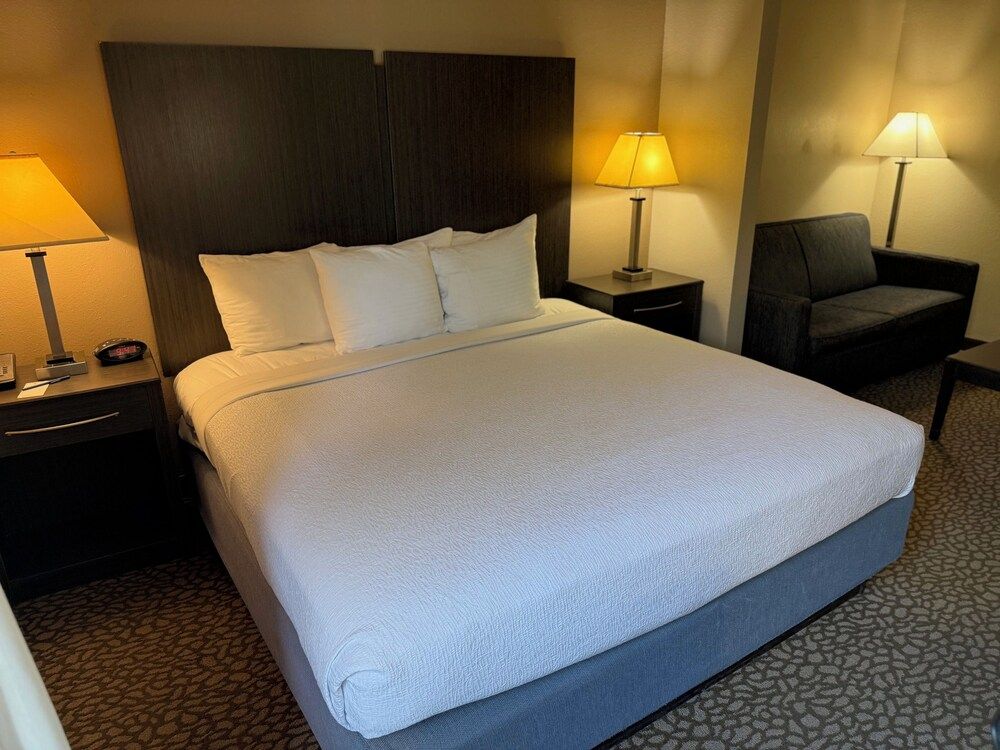 Comfort Inn & Suites Bradenton North I-75 2