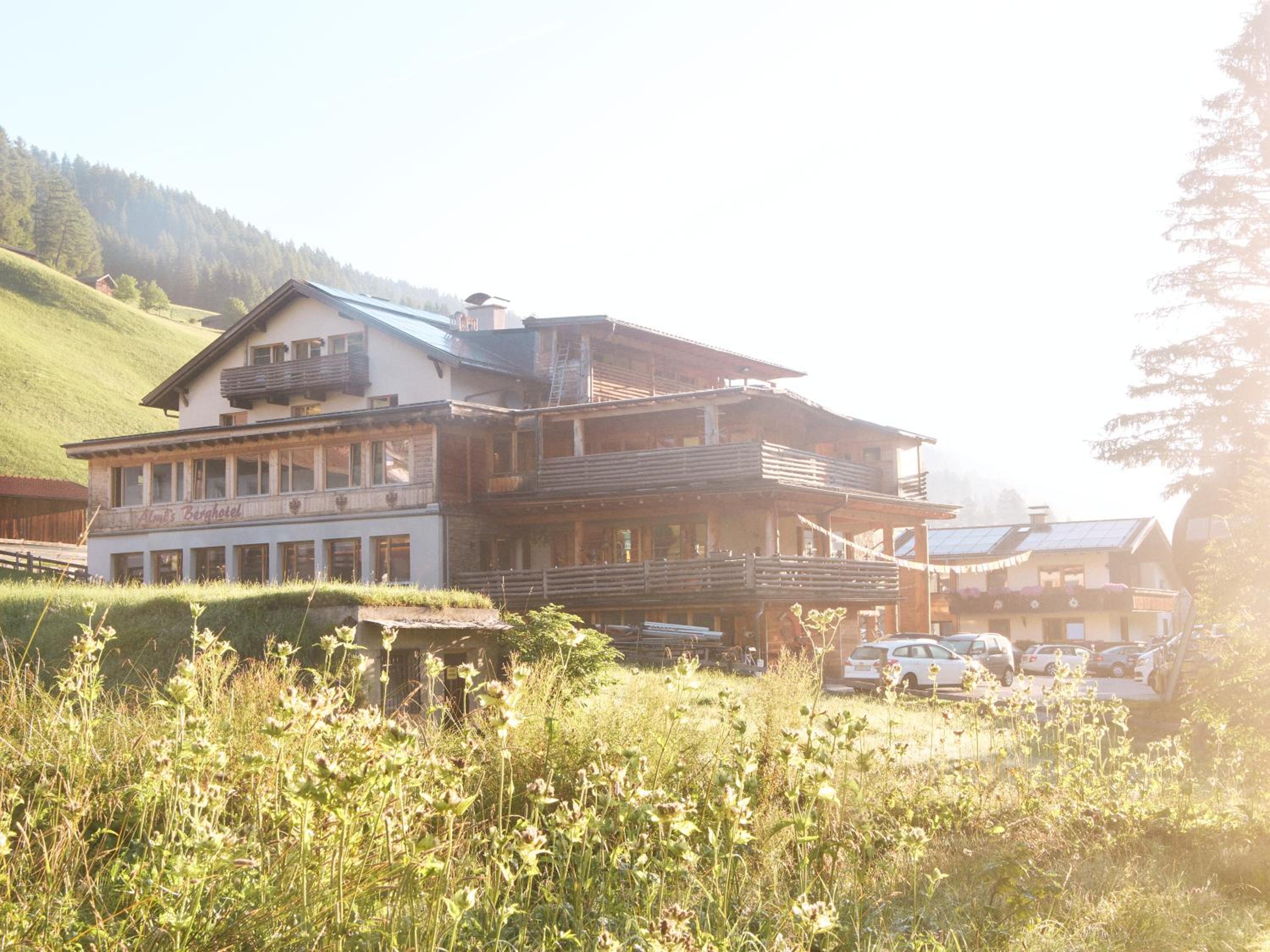 Almi's Berghotel 1