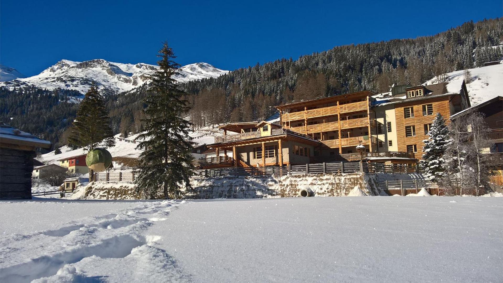 Almi's Berghotel 2