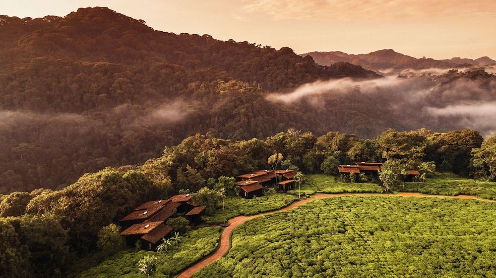 Nyungwe Tea Forest Resort 1