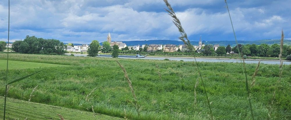 Rheinhotel Larus 1