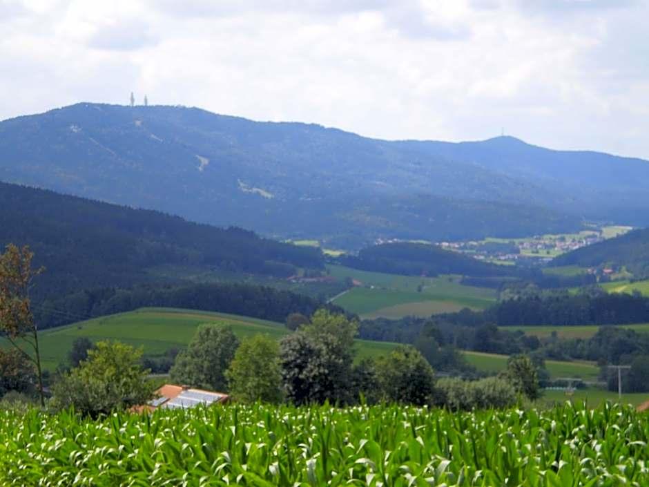 Pension Schamberger 2