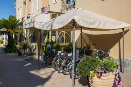 Hotel Delle Mimose 2