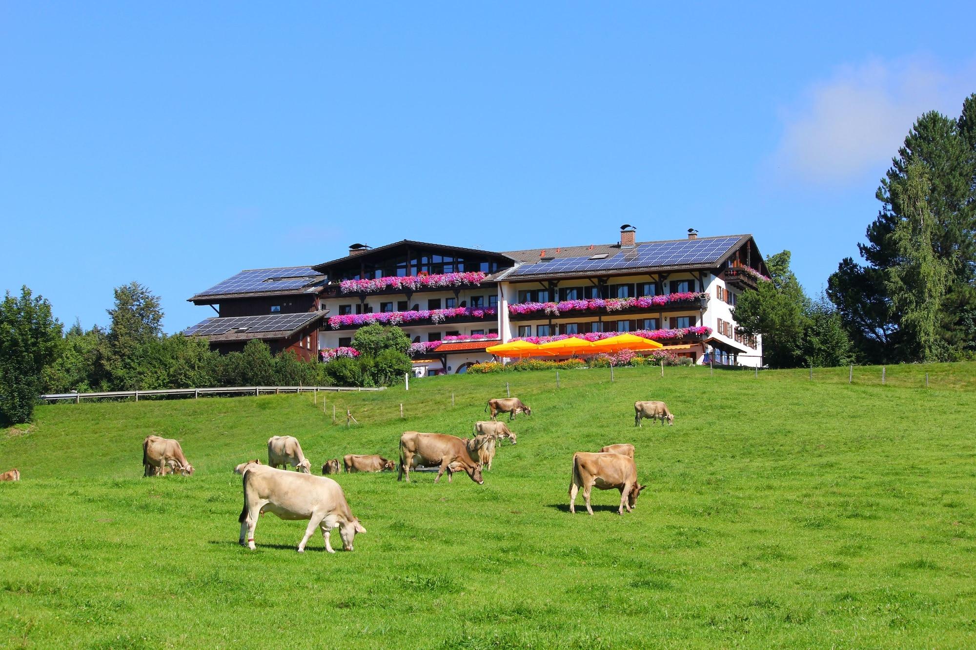 Landhotel Schwarzenbach - Wellness & Spa 2