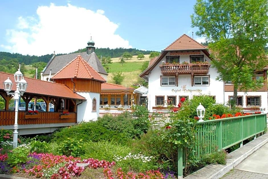 Wellnesshotel Ludinmühle 2