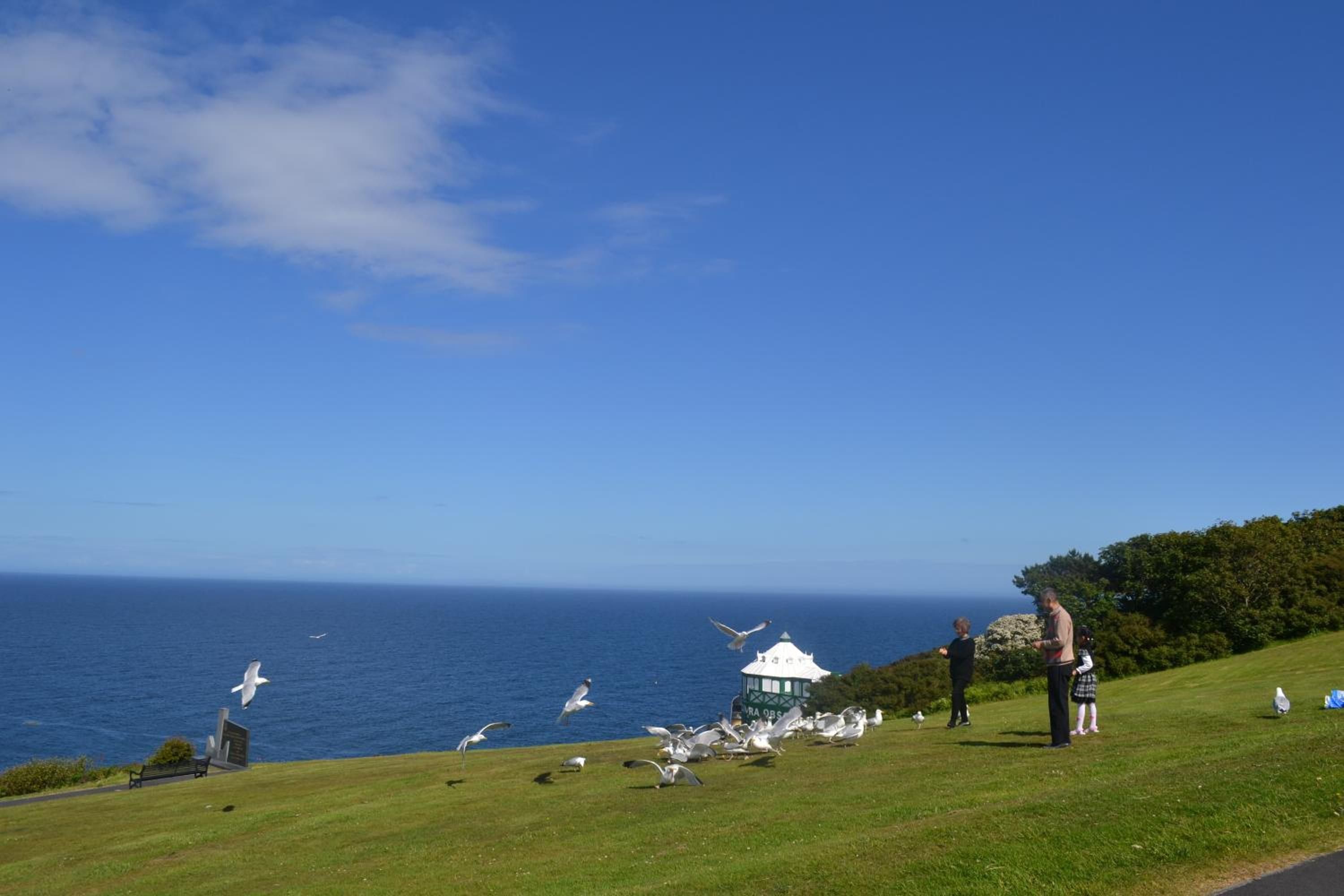 Adelphi Guest House 2