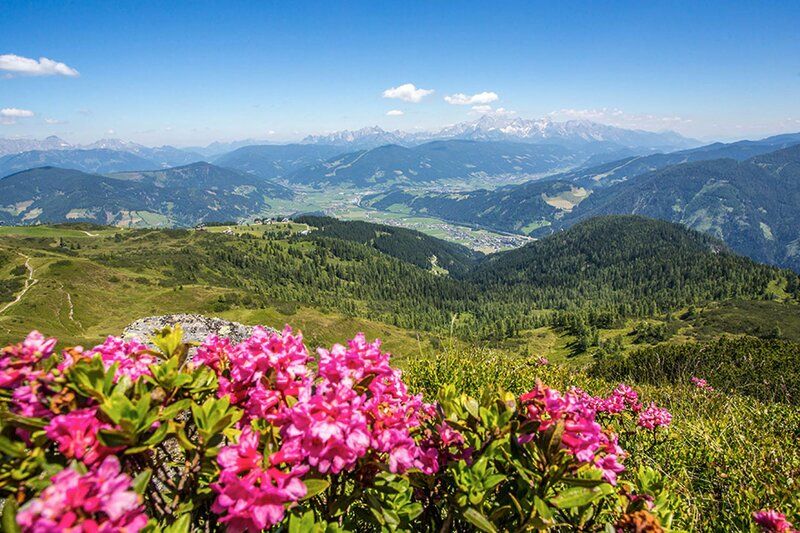 Hotel Alpenwelt Superior 2