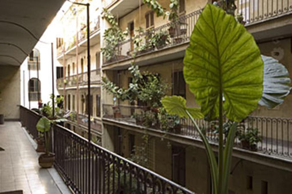 A Ca degli Equi B&B 1