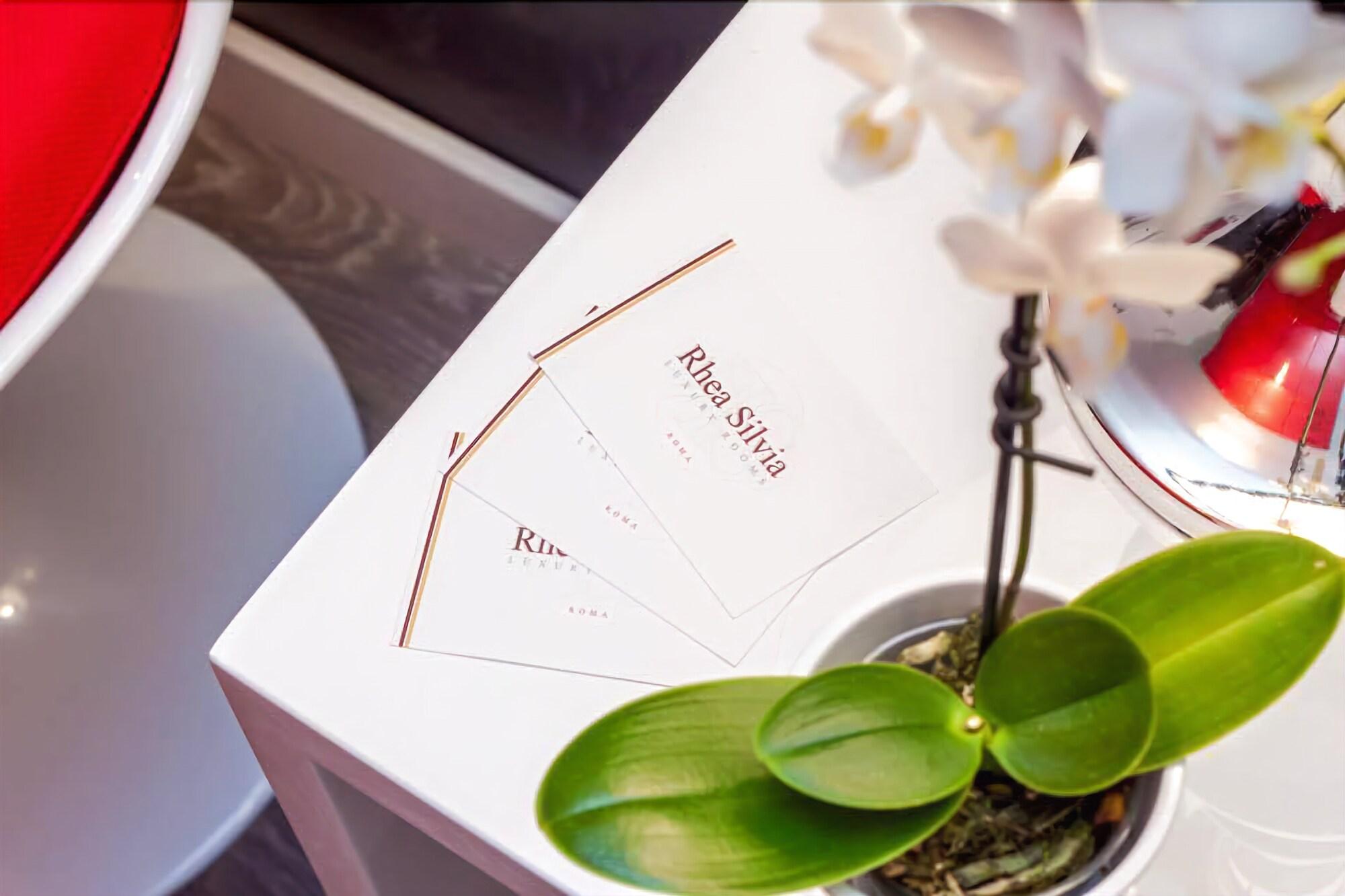 Etruska luxury Trastevere Guesthouse 2