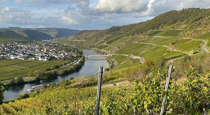 Hotel Krone Riesling 2