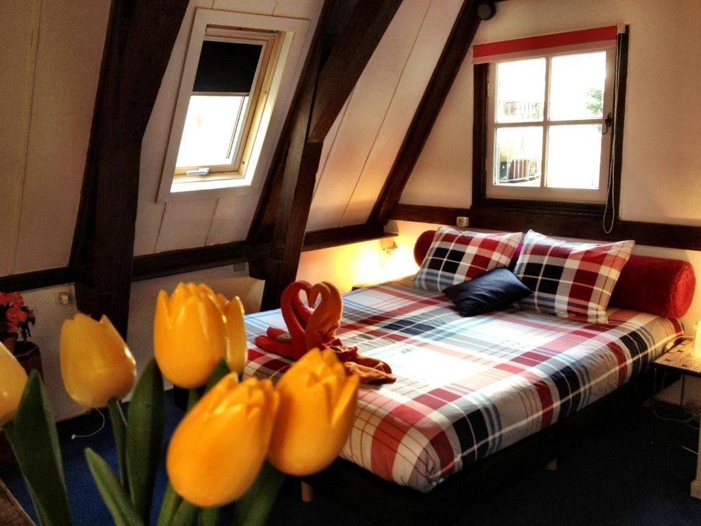 Tulip Of Amsterdam 2