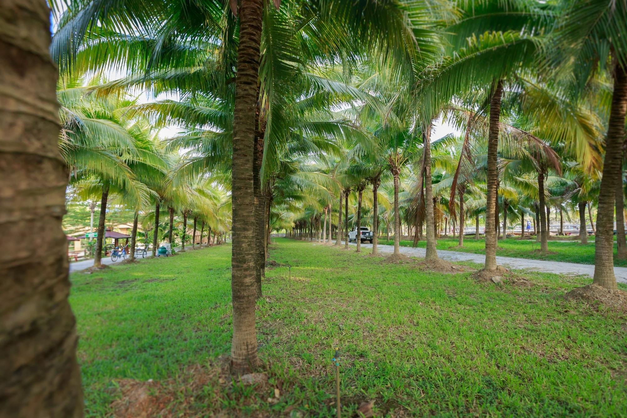 Coconut Resort 2