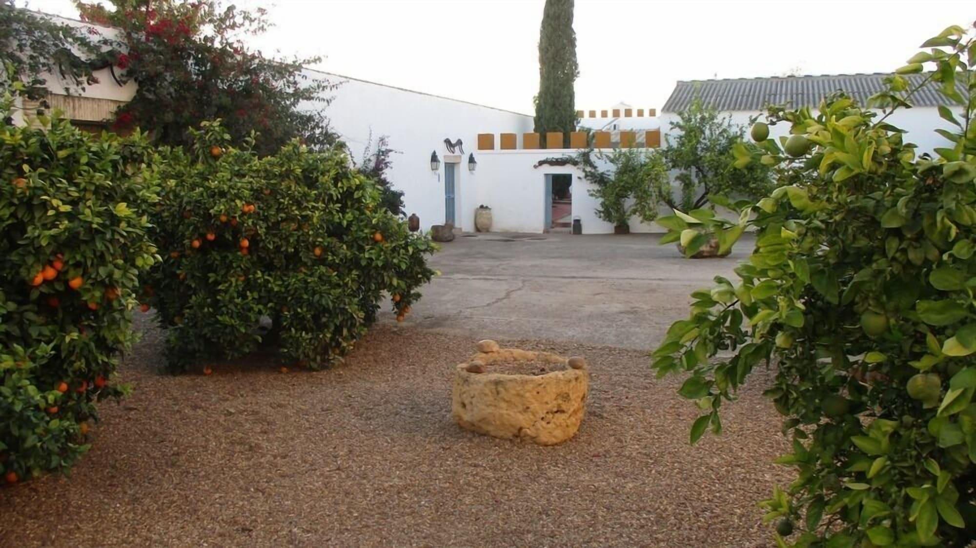Cortijo Santa Clara 1