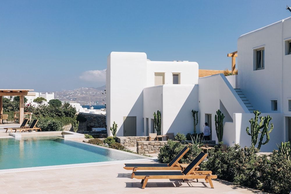 Mykonos Cactus 1