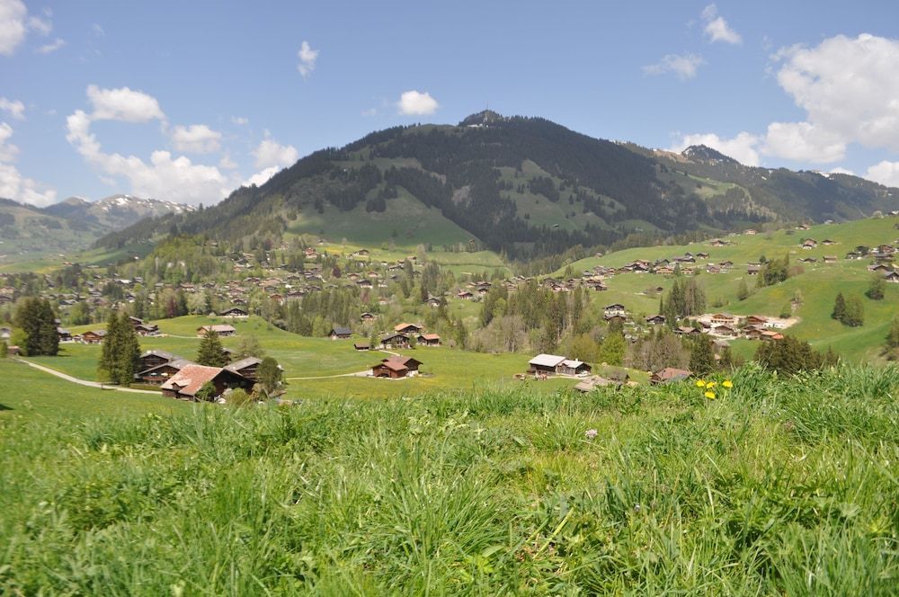 Alpenchalet Weidhaus Gstaad - diverse Wohneinheiten 1