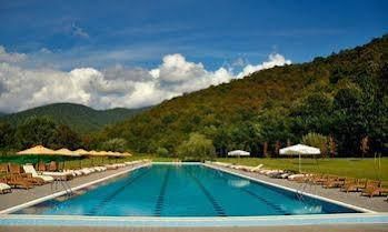 Lopota Lake Resort & Spa 1