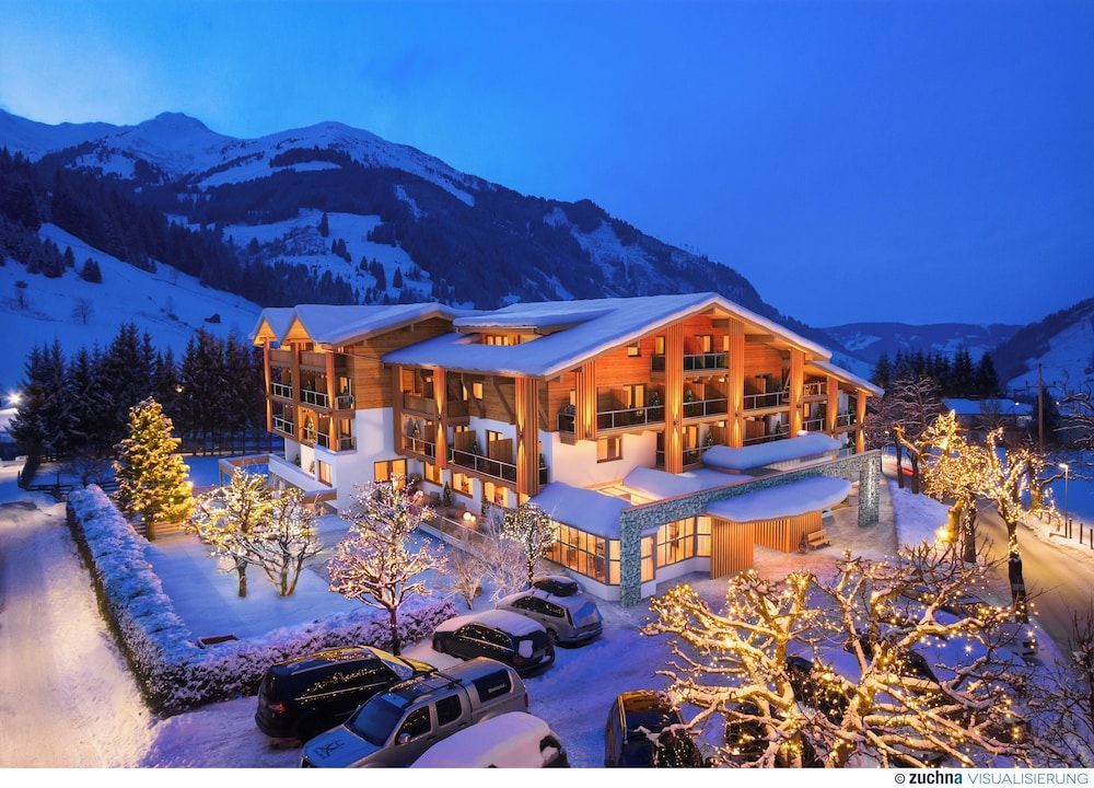 Hotel Alpina Rauris 1