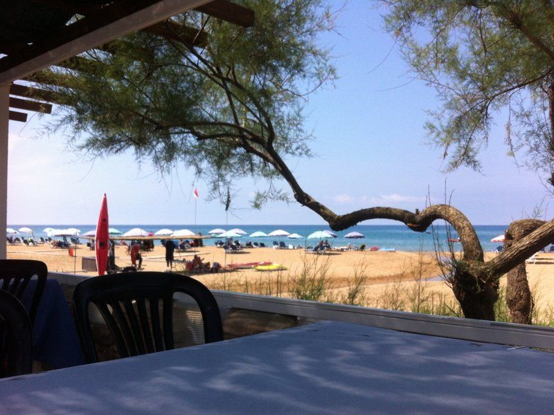 Olive house 2