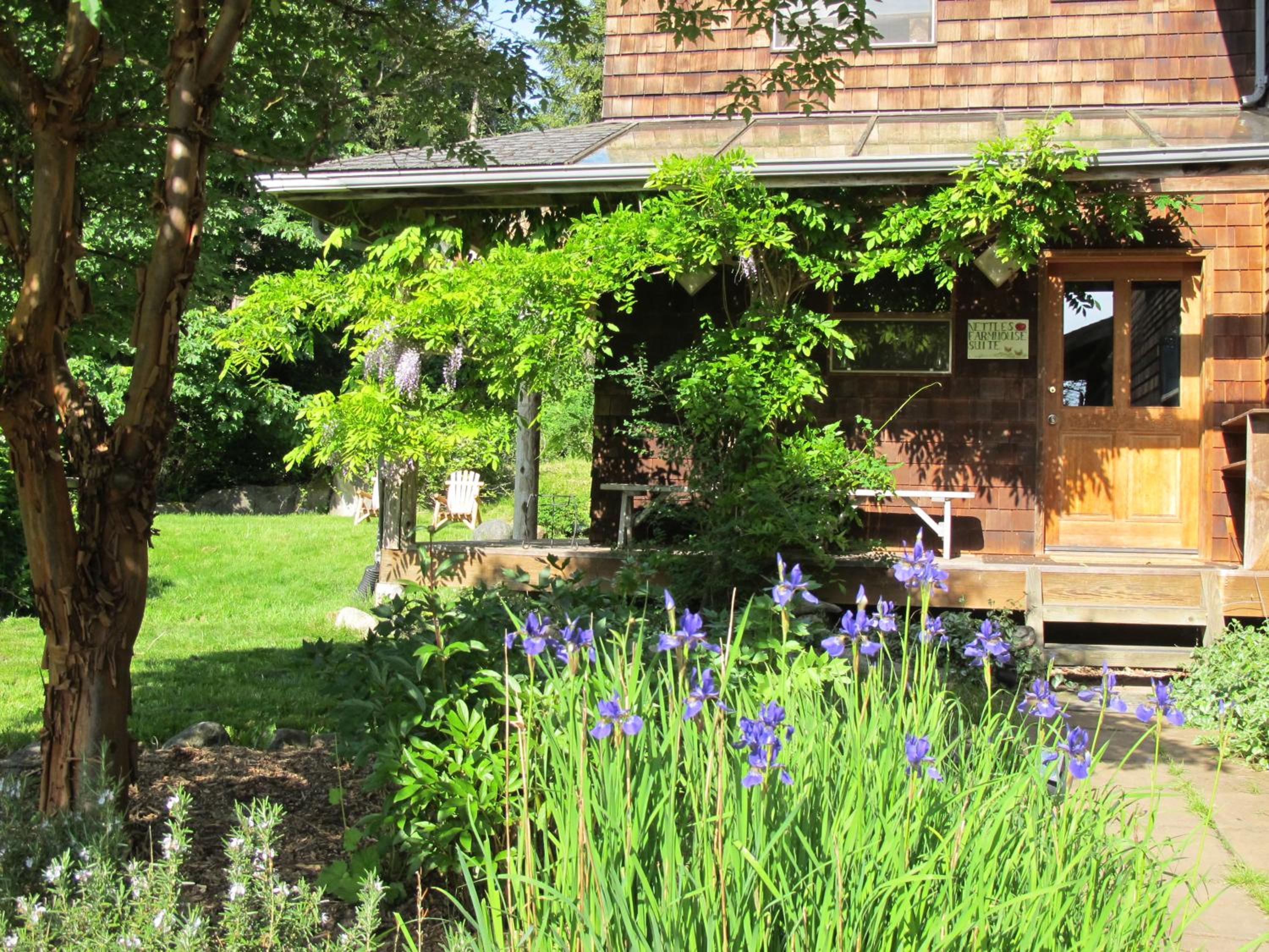 Nettles Farm 1