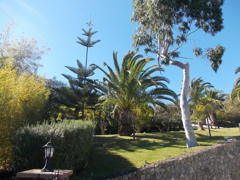 La Palma Romantica & Casitas Apartments 1