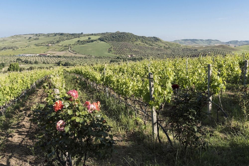 Dattilo Wine Relais 1