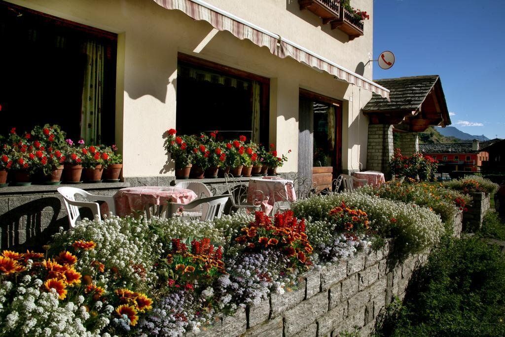 Hotel Edelweiss 1