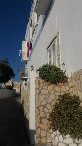 Villa Adele Ponza 1