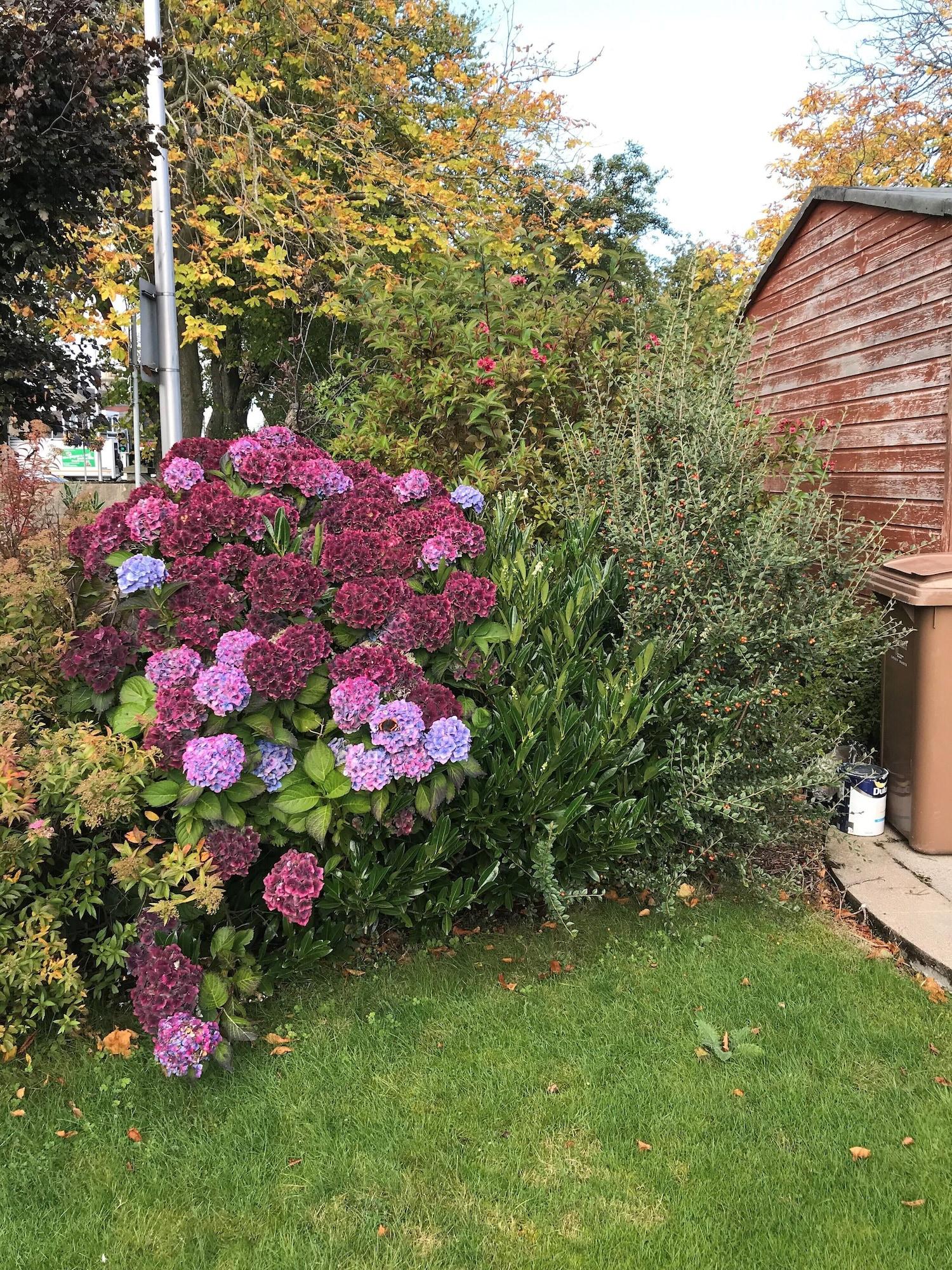 Beeches Guest House 1