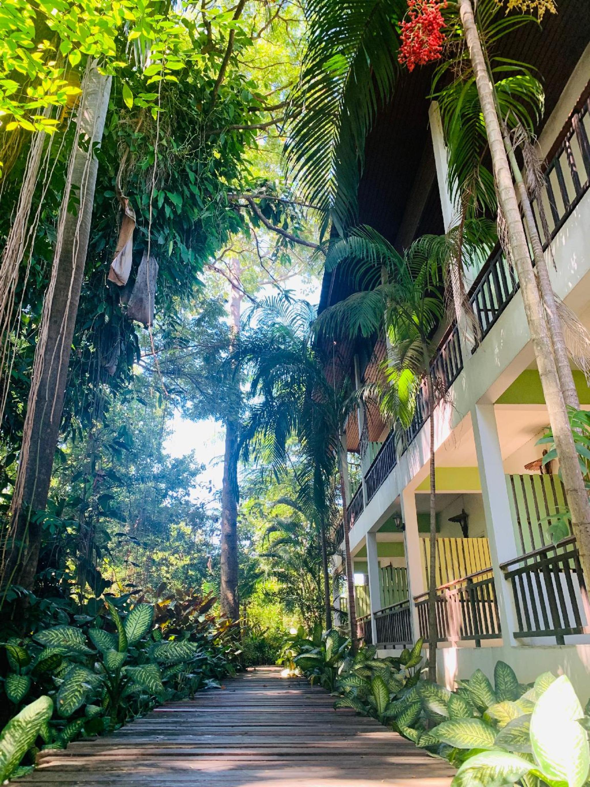 Tree House Hotel (sha Certified) 1