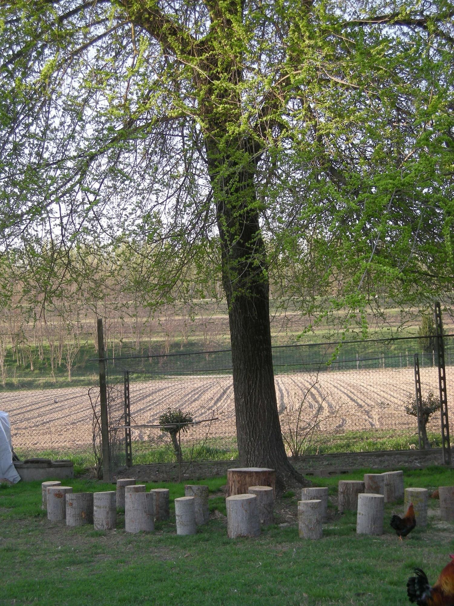 Agriturismo Le Clementine 1