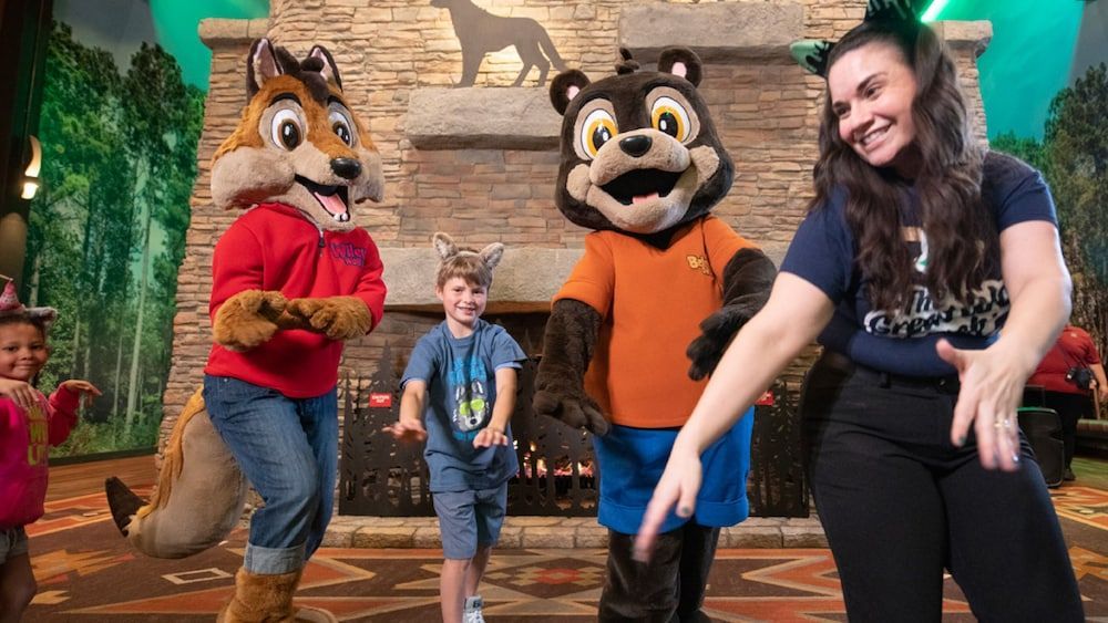 Great Wolf Lodge Grapevine 2