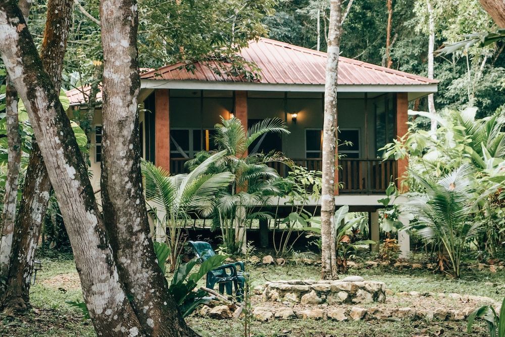 The Cabins at Monkey Fall 2
