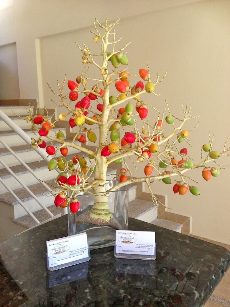 Montelaguna Boutique Hotel 2