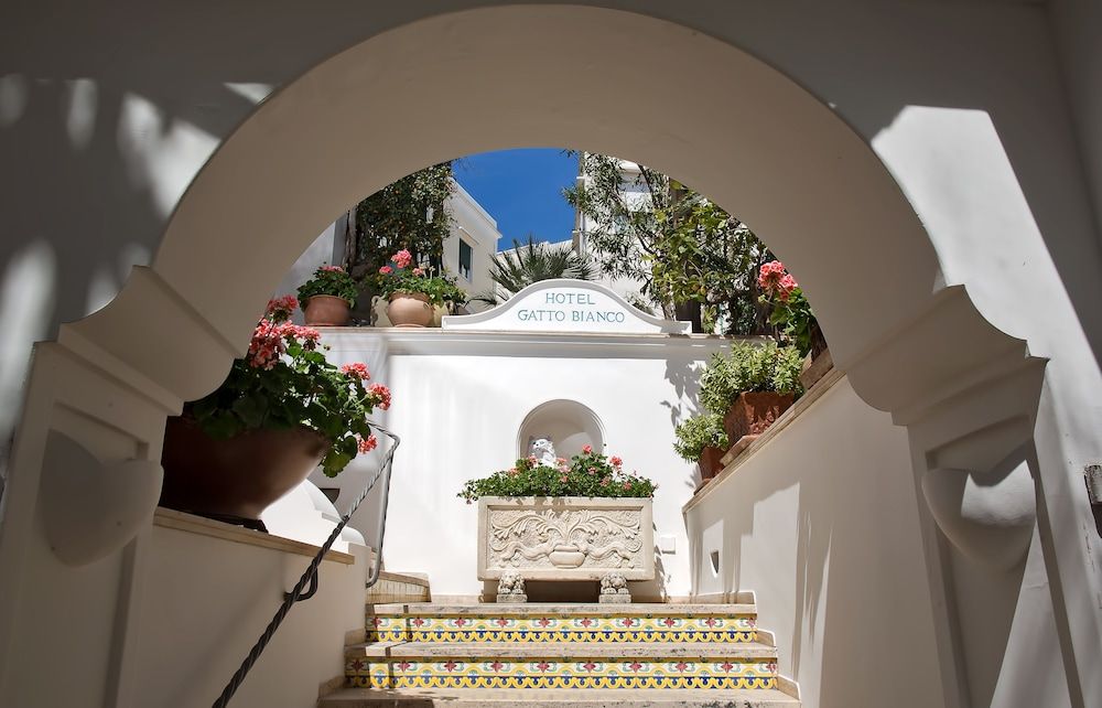 Albergo Gatto Bianco 1
