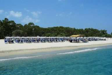 Nausicaa Village 1