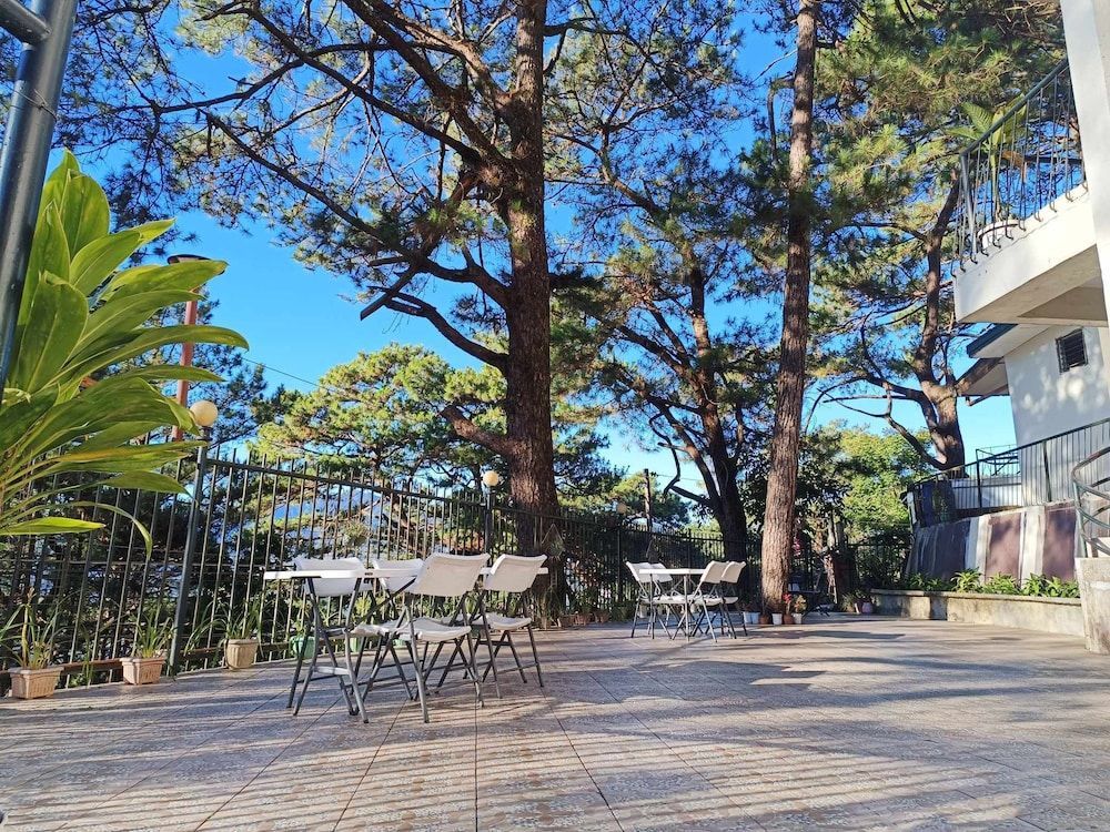 Vista de Pino 1