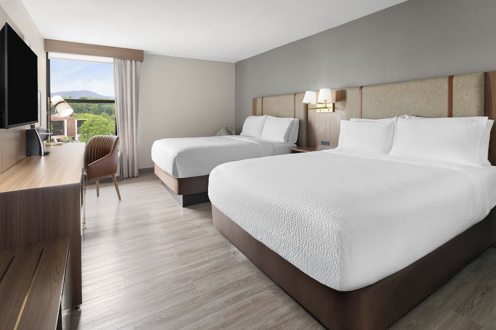 Holiday Inn ROANOKE-TANGLEWOOD-RT 419&I581 by IHG 2