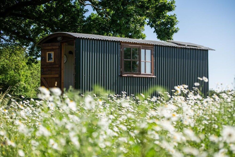 Harbour Ranch Hut - Rustic Countryside Escape 2