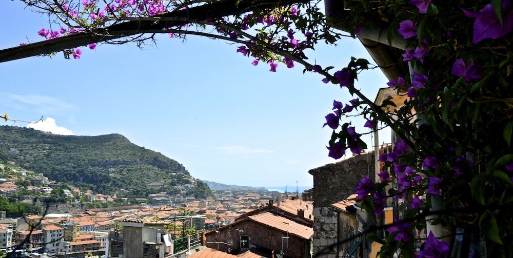 La Terrazza dei Pelargoni B&B 1