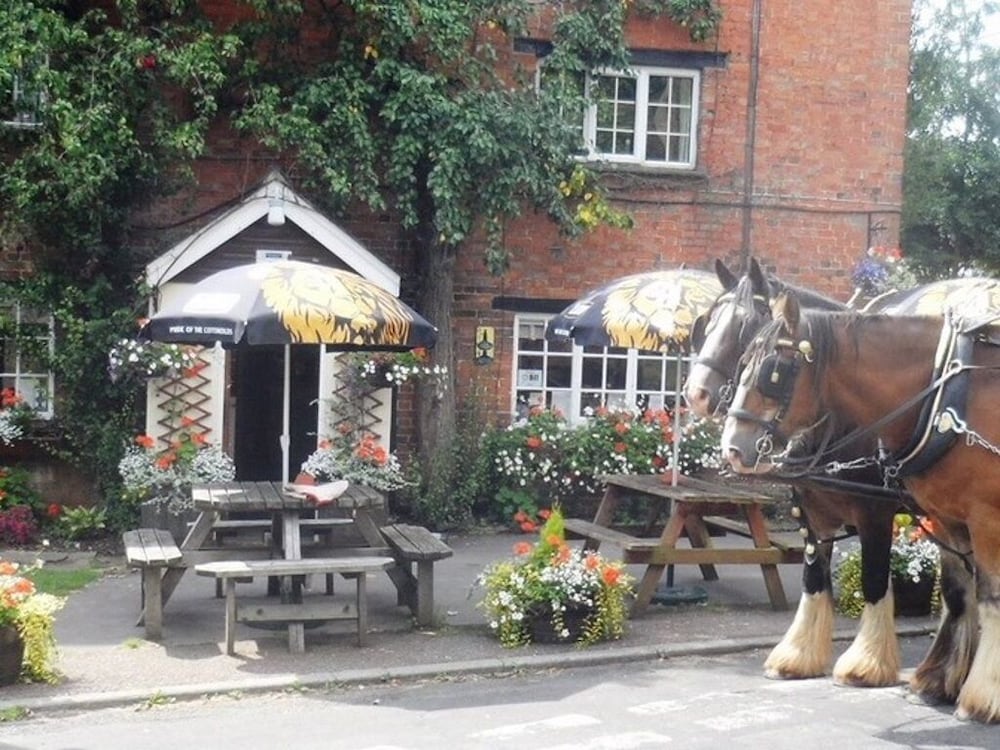 The Pear Tree 1