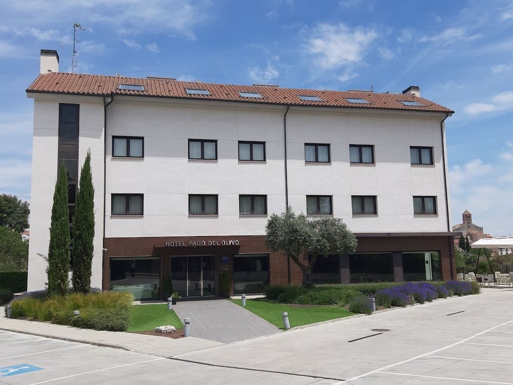 Hotel Pago del Olivo 1