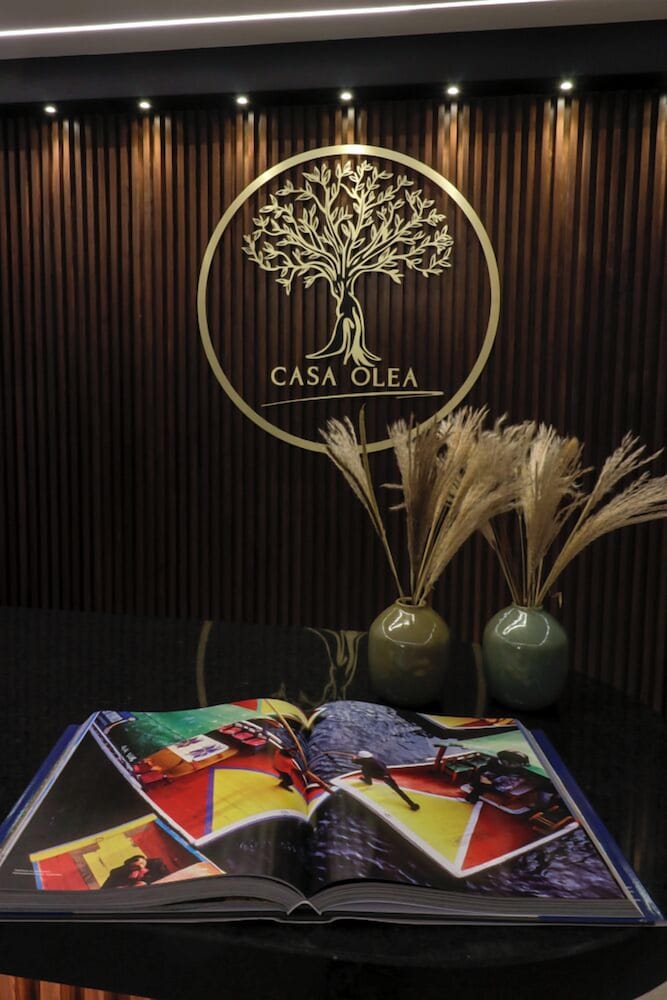 Casa Olea 2