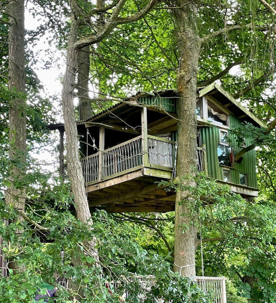 Owl Lodge 2